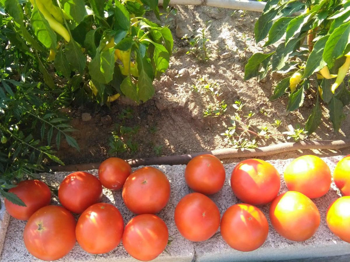 Martha'S Villa Nea Iraklitsa Ngoại thất bức ảnh